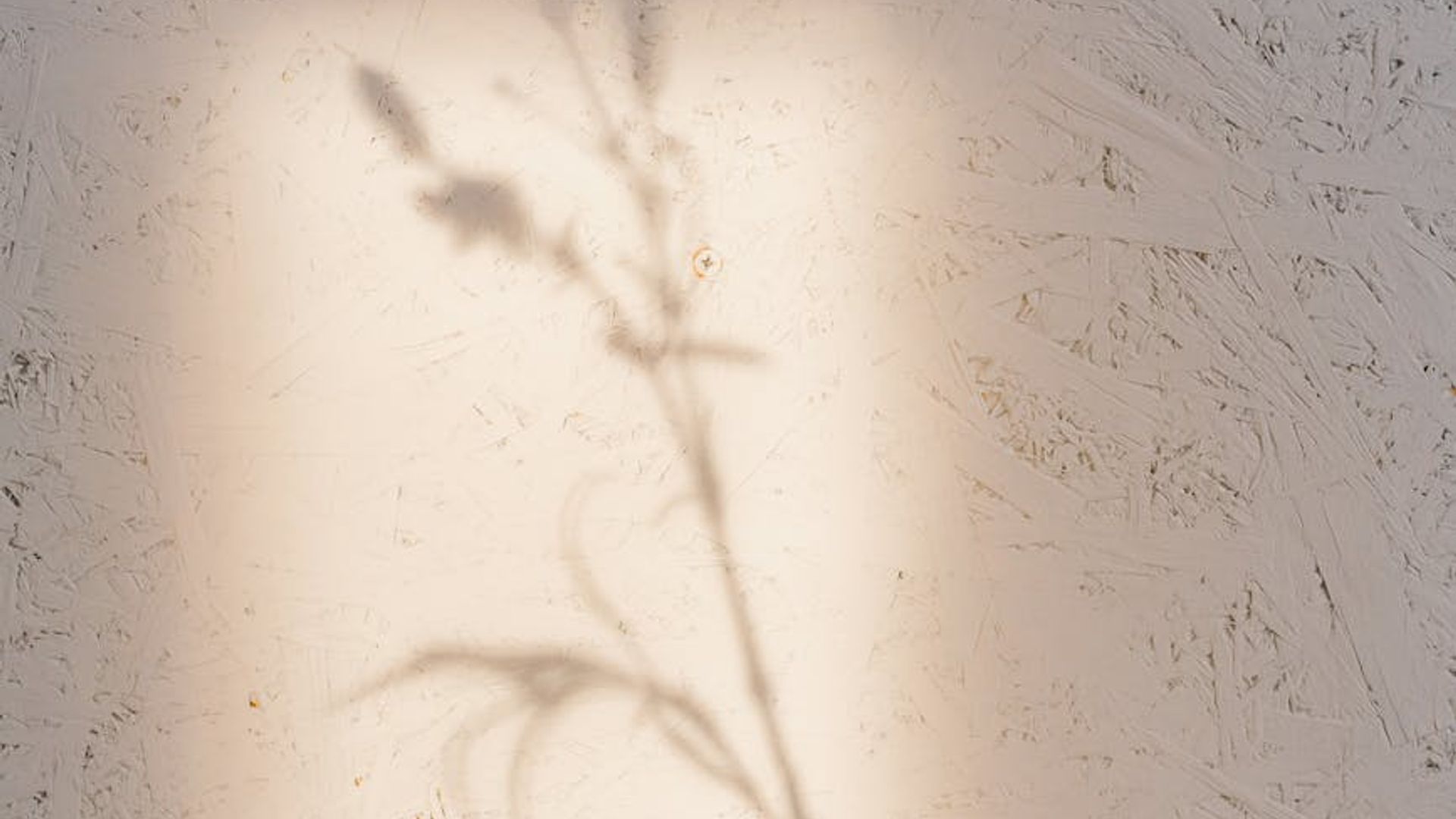 A calm and spacious room for yoga practice with soft light.